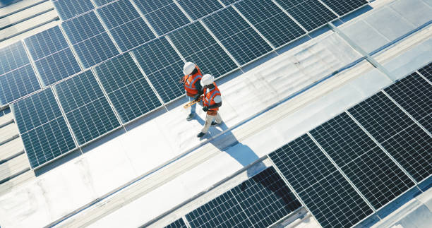 Best Skylight Installation and Repair  in Mangonia Park, FL